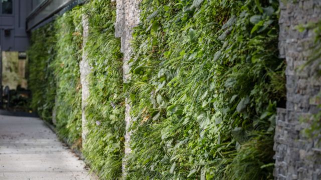 Nieuw: de patio in het World Trade Center in Amsterdam