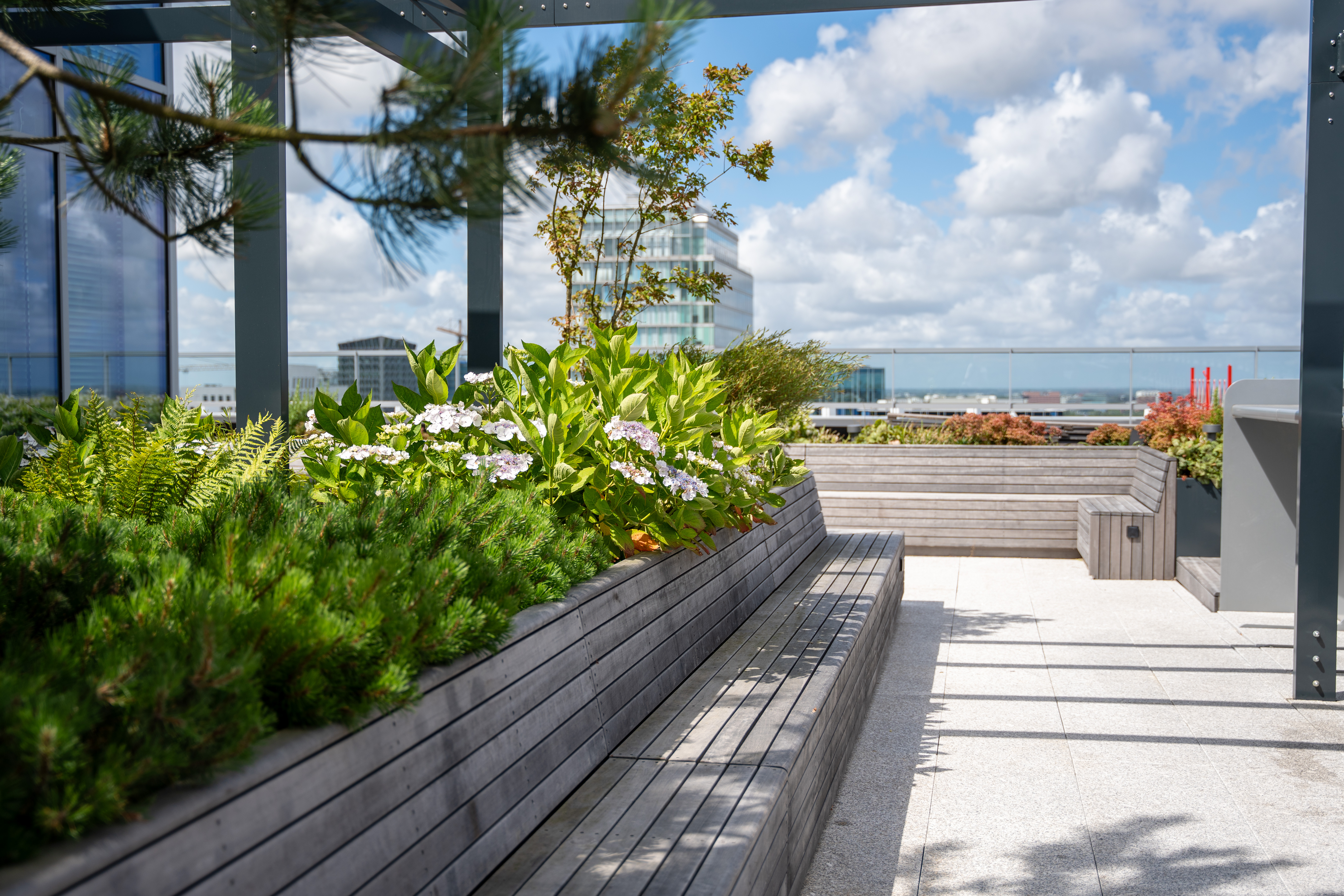 Daktuinen WTC Tower Ten