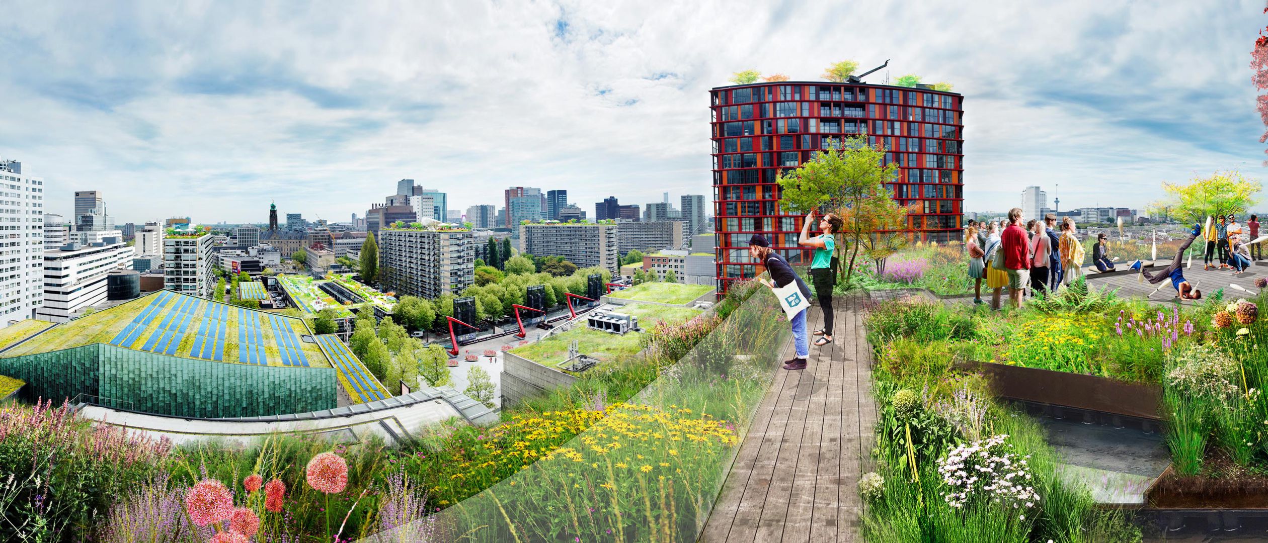 Sustainable Schouwburgplein, Rotterdam