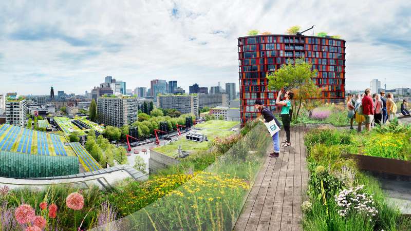 Sustainable Schouwburgplein, Rotterdam