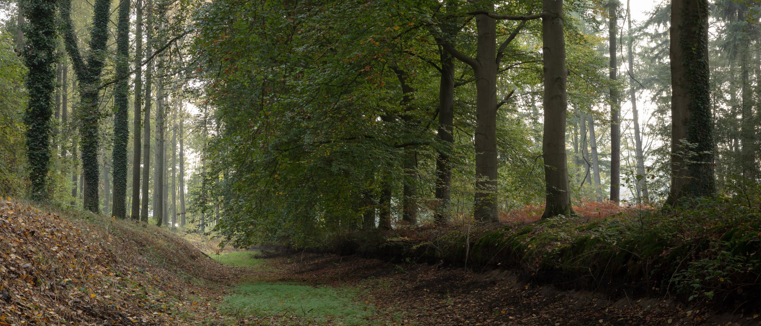 Systeemherstel Landgoederenzone Baakse Beek